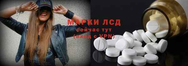 спайс Алзамай