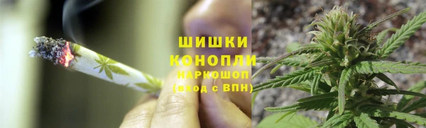 спайс Алзамай