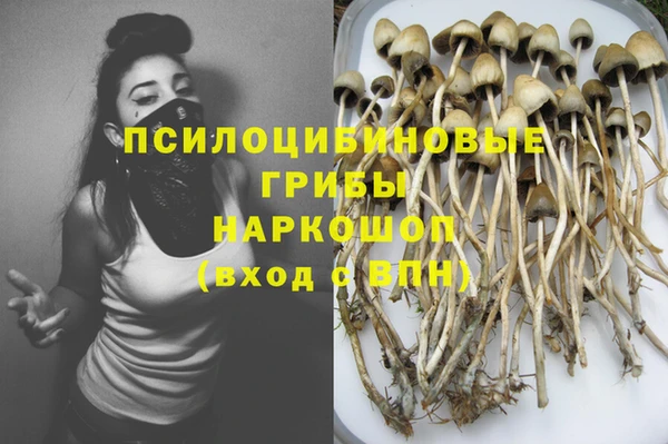 спайс Алзамай