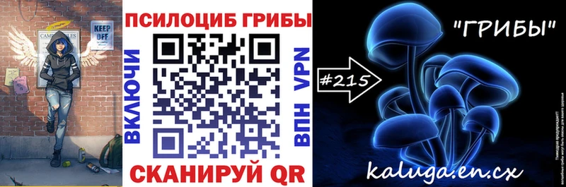Псилоцибиновые грибы GOLDEN TEACHER  Аргун 