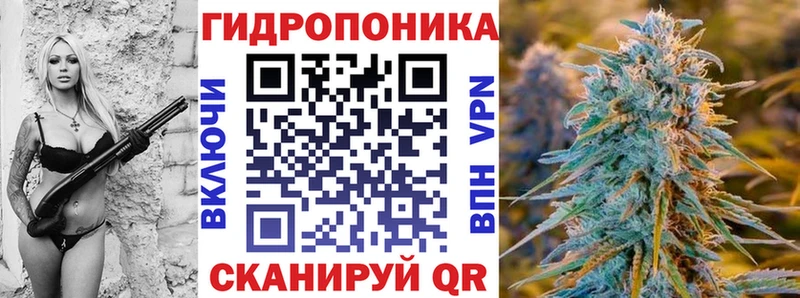 где купить наркоту  Аргун  МАРИХУАНА AK-47 